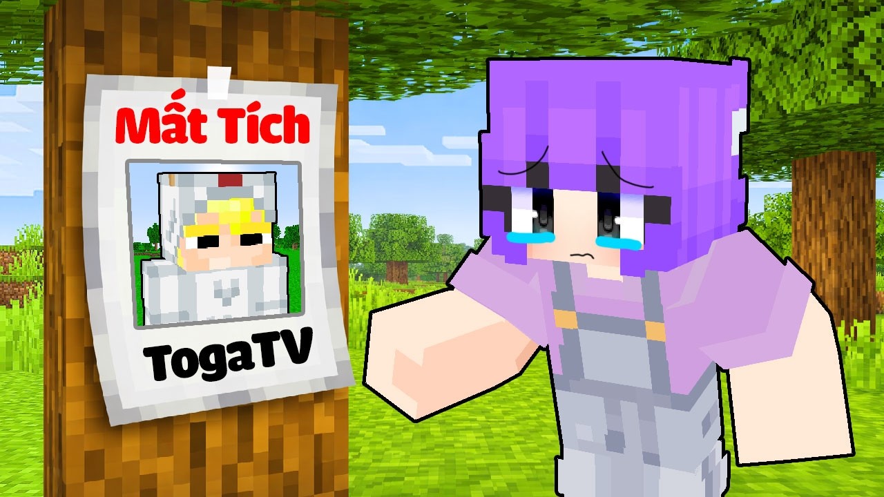 Tô Gà Đã Bị Mất Tích Mãi Mãi...