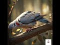 Story Of Sparrow And Dove | Moral stories | Two Friends  #stories #children  #trendingshorts