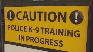Police K-9 training underway at GSP Airport