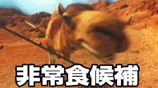 貴重なラクダを徹底的に酷使する砂漠サバイバル【Starsand】