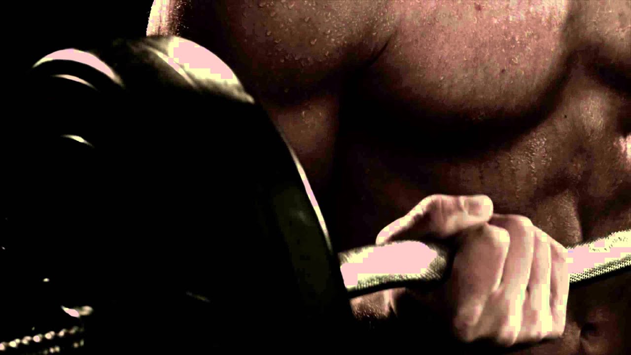 Champion® HVAC: A new line of heating and cooling equipment is born