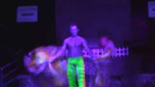 Flaggerboy At Spinout Flow Arts Showcase