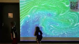 Introducing the Immersive Fluid Flow Experience