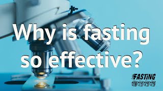 Why is fasting so effective?