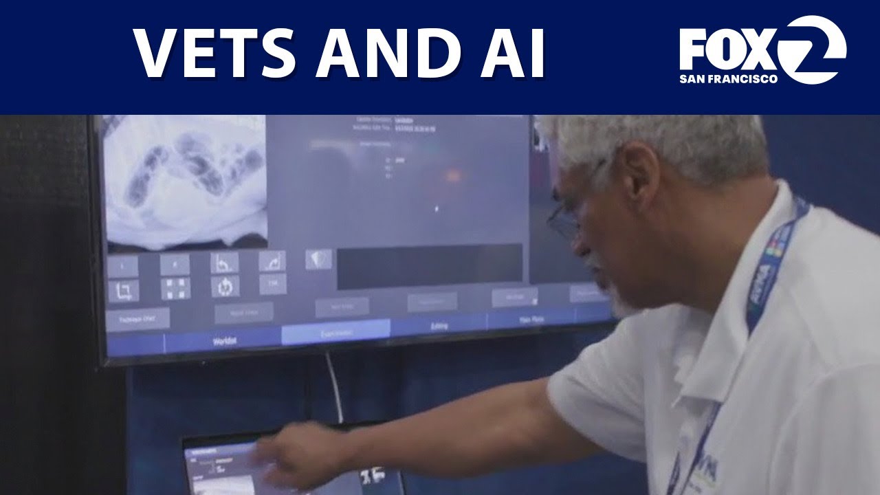 How veterinarians are using AI to provide better care to pets | KTVU