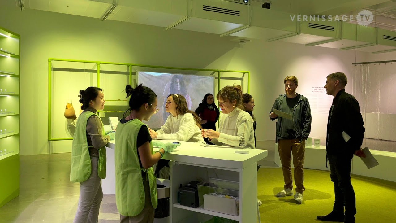 Lauren Lee McCarthy: Bodily Autonomy / Mandeville Art Gallery, San Diego