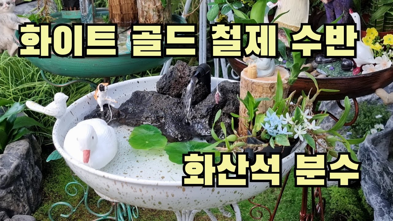 화이트골드 철제 수반 소형과 화산석 분수로 실내정원꾸미기 - YouTube