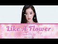 IRENE (아이린) 'Like A Flower' (Color Coded Lyrics) [4k Video] 🌸
