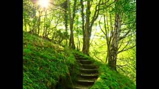 Llewellyn - Hidden Pathways  (Reiki music)