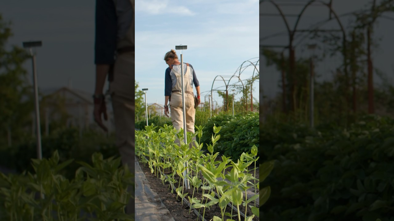 Watch Now: A special new film all about the Floret Originals