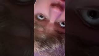 TommyInnit is Really HIGH??? @StevethePolarBear