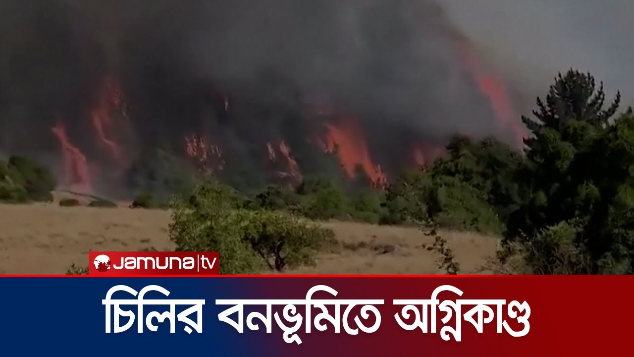 চিলির একটি বনভূমিতে ভয়াবহ অগ্নিকাণ্ড; ছড়িয়ে পড়েছে বিস্তীর্ণ অঞ্চলে | Chile Forest Fire | Jamuna TV