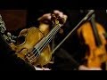 Carl kohaut concerto in f major for lute 2 violins and violoncello