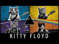 Kitty Floyd - Waking To The Light (Cat Live Performance)