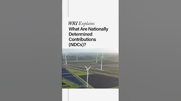 How Do NDCs Help Stop Climate Change?