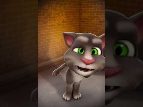 توم المضحك هههههه