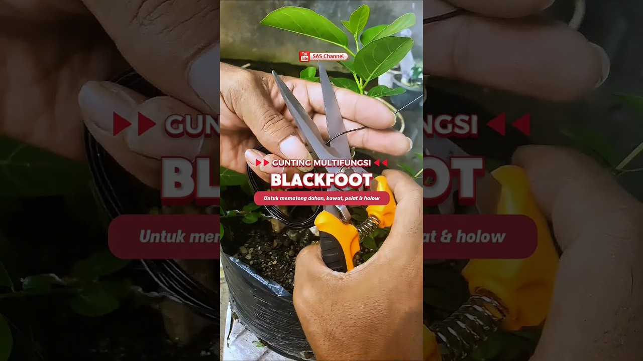 Gunting Serbaguna‼️BLACKFOOT 