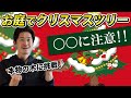 【落とし穴】今年こそお庭で本物のクリスマスツリーを考えている方は○○に注意！