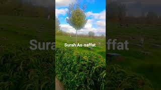 surah As-saffat #egzonibrahimi #nature #viralvideo #beautiful #viral #views# #viralvideo #quran