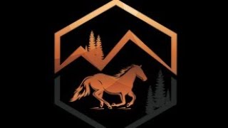 Update on Copper Stallion Media!