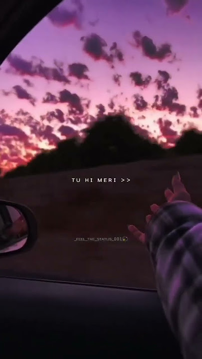 3327307451644458566 64752079445
