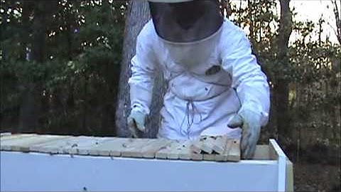 Easiest Way To Install Bees Into A top Bar Hive Part 2 of 2