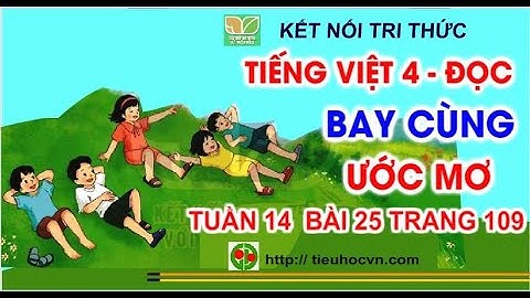 Tiếng Việt 4 Bài 25  Đọc: Bay cùng ước mơ | Kết nối tri thức Tuần 14 trang 109
