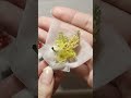 小さな花束ができるまで🌷