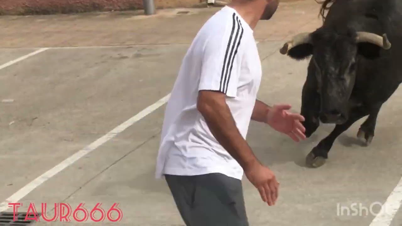 Adrian Dominguez en Cortes (calle).