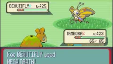 Pokemon Sapphire Walkthrough Part 35: Route 119