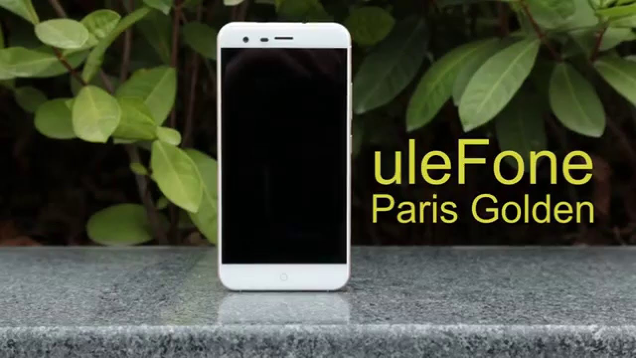 Update New Paris Golden: Graceful, Luxury, Vigorous