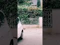 فيروز أقول لطفلتي أذا الليل برد فيروز أقول لطفلتي أذا الليل برد