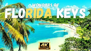 Wonders of Florida Keys The Most Amazing Places in Florida Travel 4K