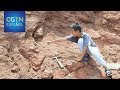 Un niño chino encuentra un nido de huevos de dinosaurio de 66 millones de años de antigüedad