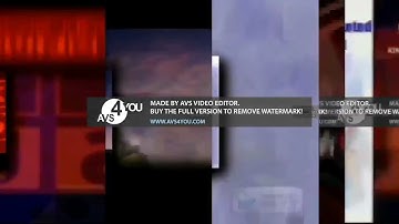 85 Shuric Scans With Are Slides