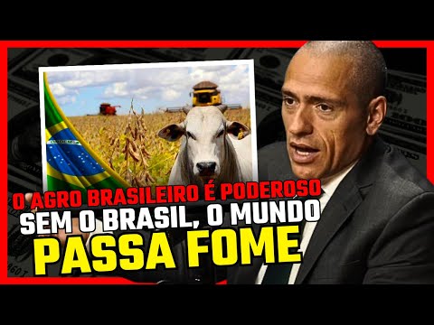POR QUE O AGRONEGÓCIO BRASILEIRO É TÃO PODEROSO? | PROFESSOR HOC