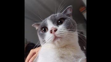 Demo Assignment 02 - PRN211 - Trần Xuân Tiến