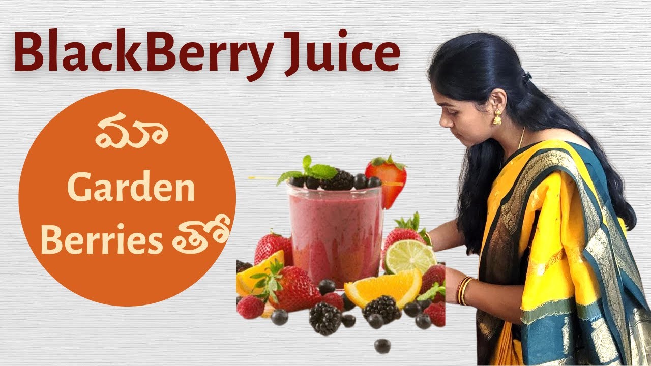 USA మా Gardenలోని Organic Berries తొ Blackberry Juice Many