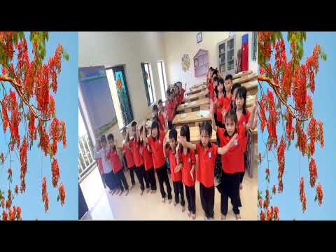 Các hoạt động tiêu biểu của Tập thể lớp 1A, Trường Tiểu học Mỹ Đức II