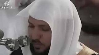 سوره البقرة كامله بصوت الشيخ ماهر المعيقلي بدون إعلانات Resimi