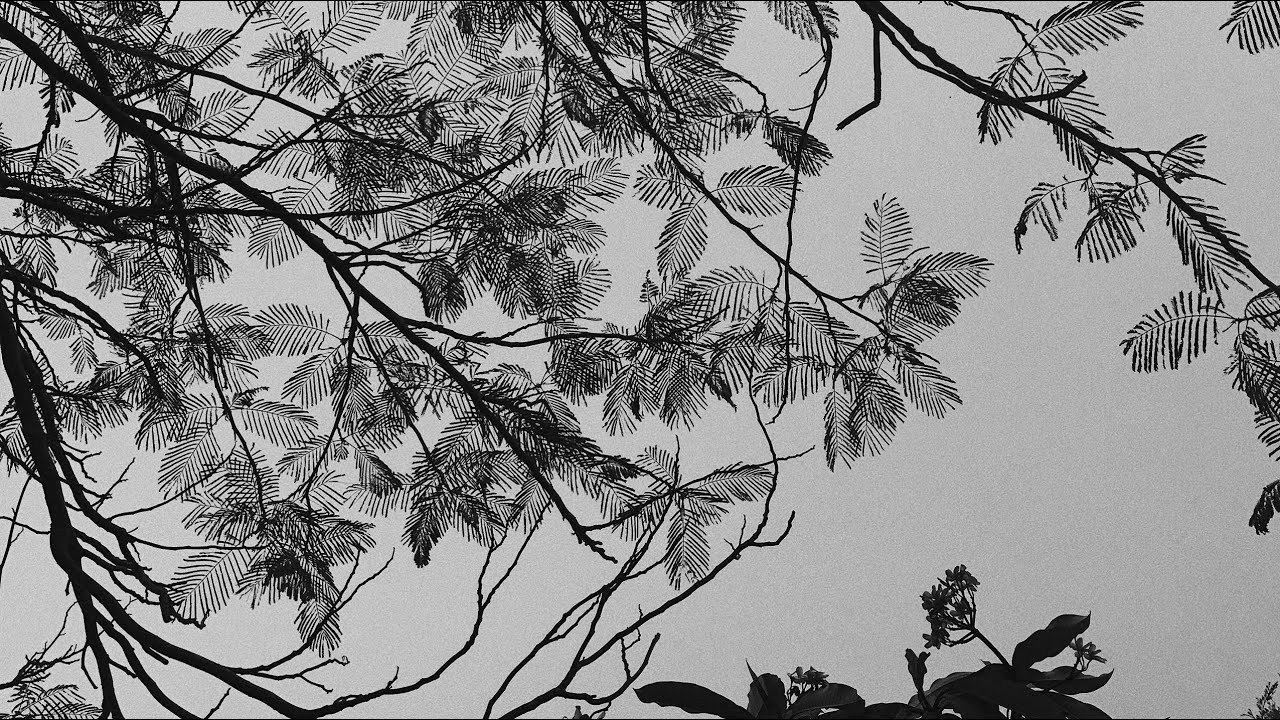 Federico Barga - Oxygen (Yonsh Remix) [PURRFECTION]