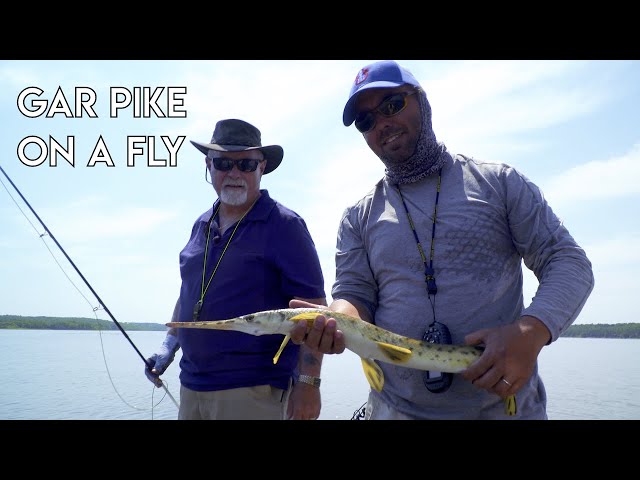 Fly choices for Gar Pike 