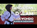TANGKISAN-TANGKISAN DALAM TAEKWONDO (Part 1) || Taekwondo Basics