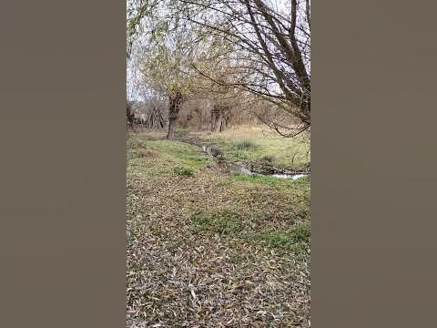 краєвид - YouTube