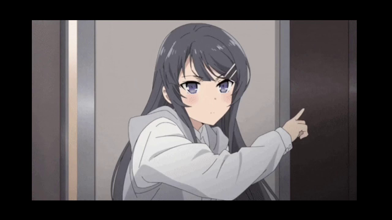 Seishun Buta Yarou wa Bunny Girl Senpai no Yume o Minai - Baka