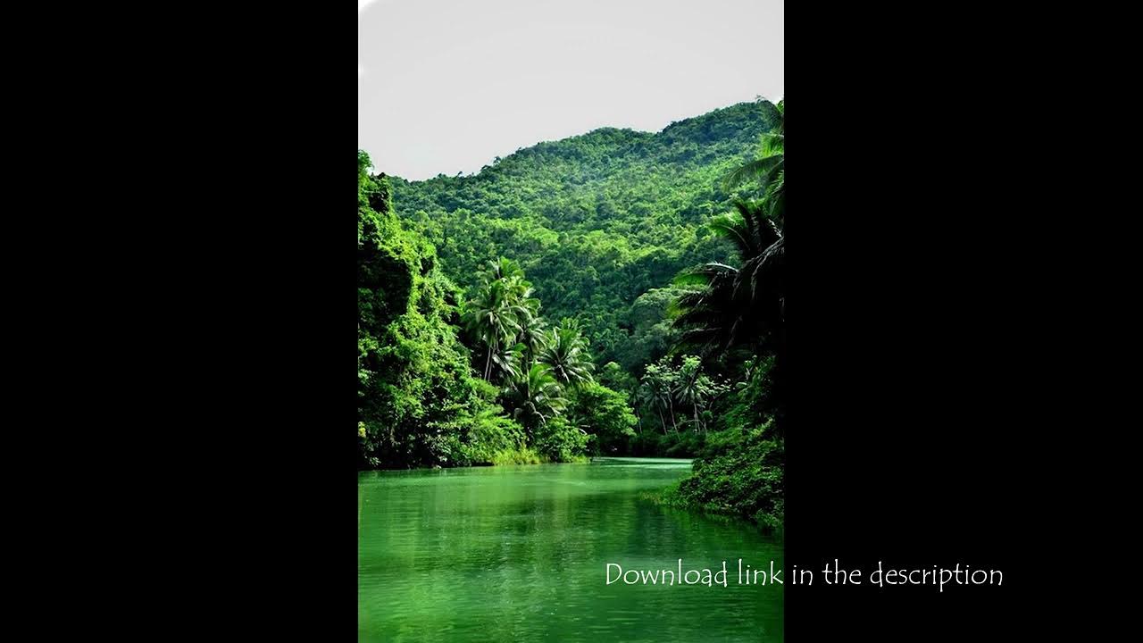 tarzansound effect YouTube