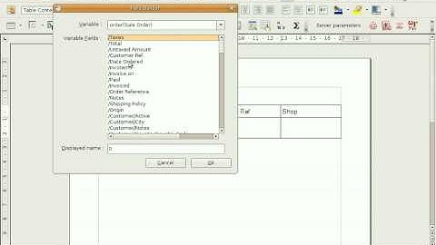 Open Office Report Desinger with OpenERP