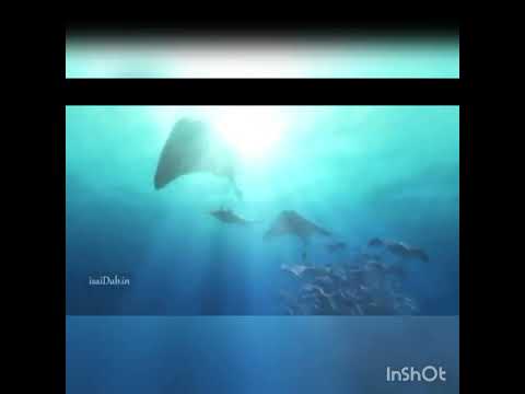 find dory songs in tamil