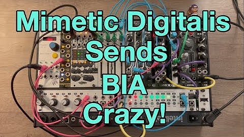 Basimilus Iteritas Alter (BIA) sent crazy by Mimetic Digitalis (MD)