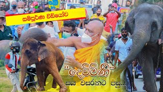 Wasana Dewmini Elephant Is Back After 06 Years දවමණ නවතත